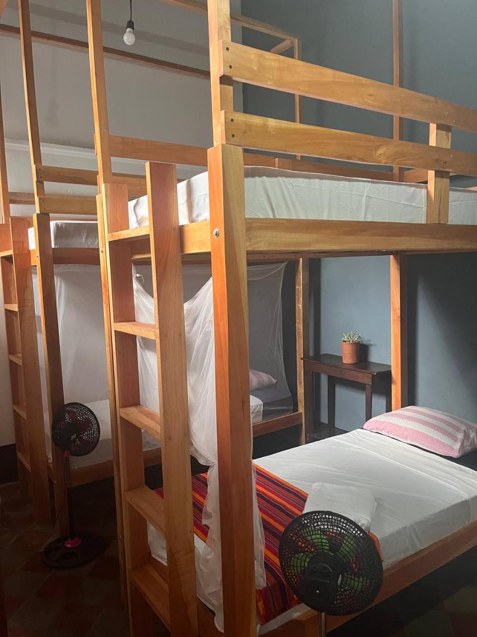 Casa Gallo Pinto Granada Dış mekan fotoğraf