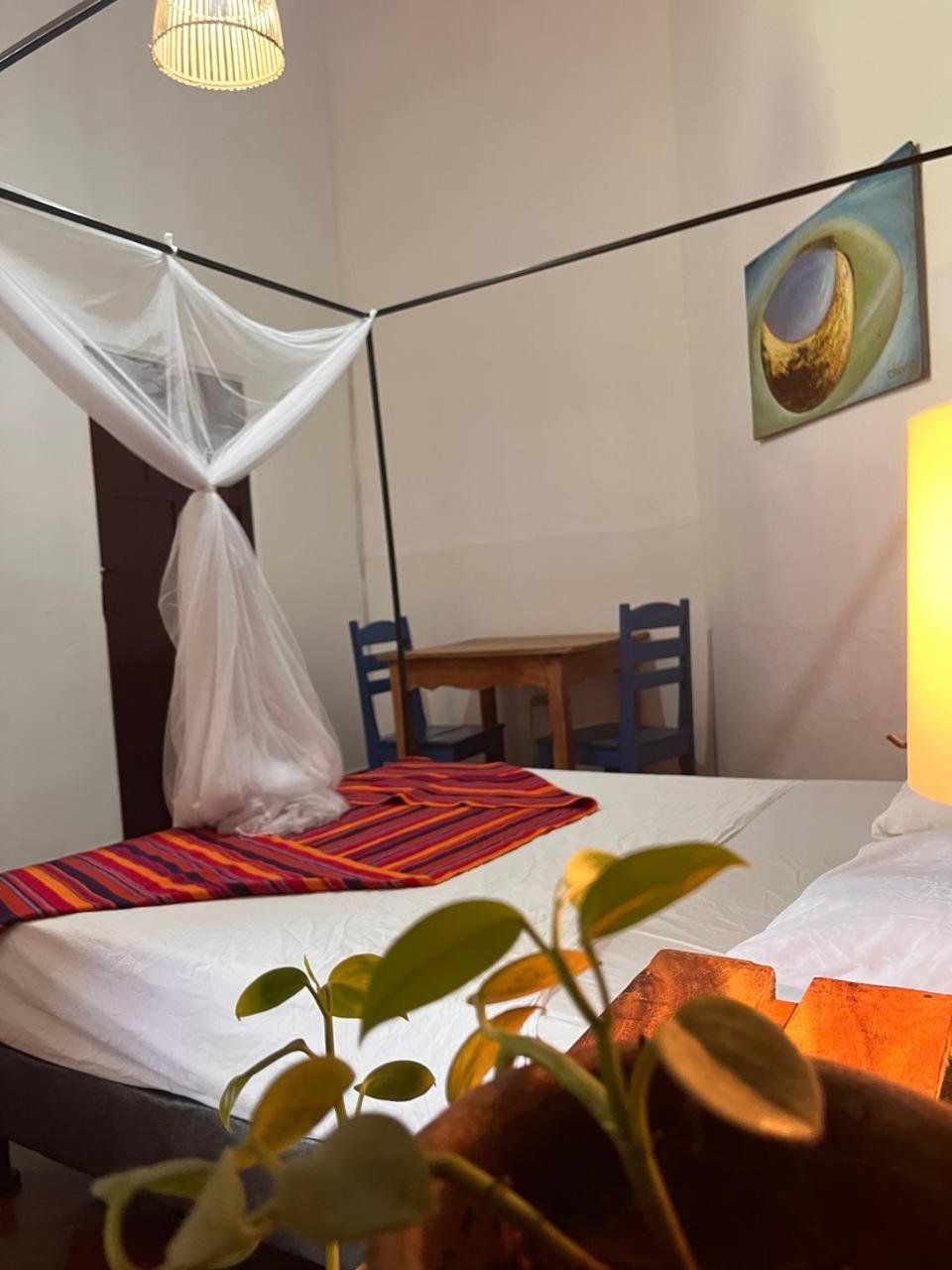 Casa Gallo Pinto Granada Dış mekan fotoğraf