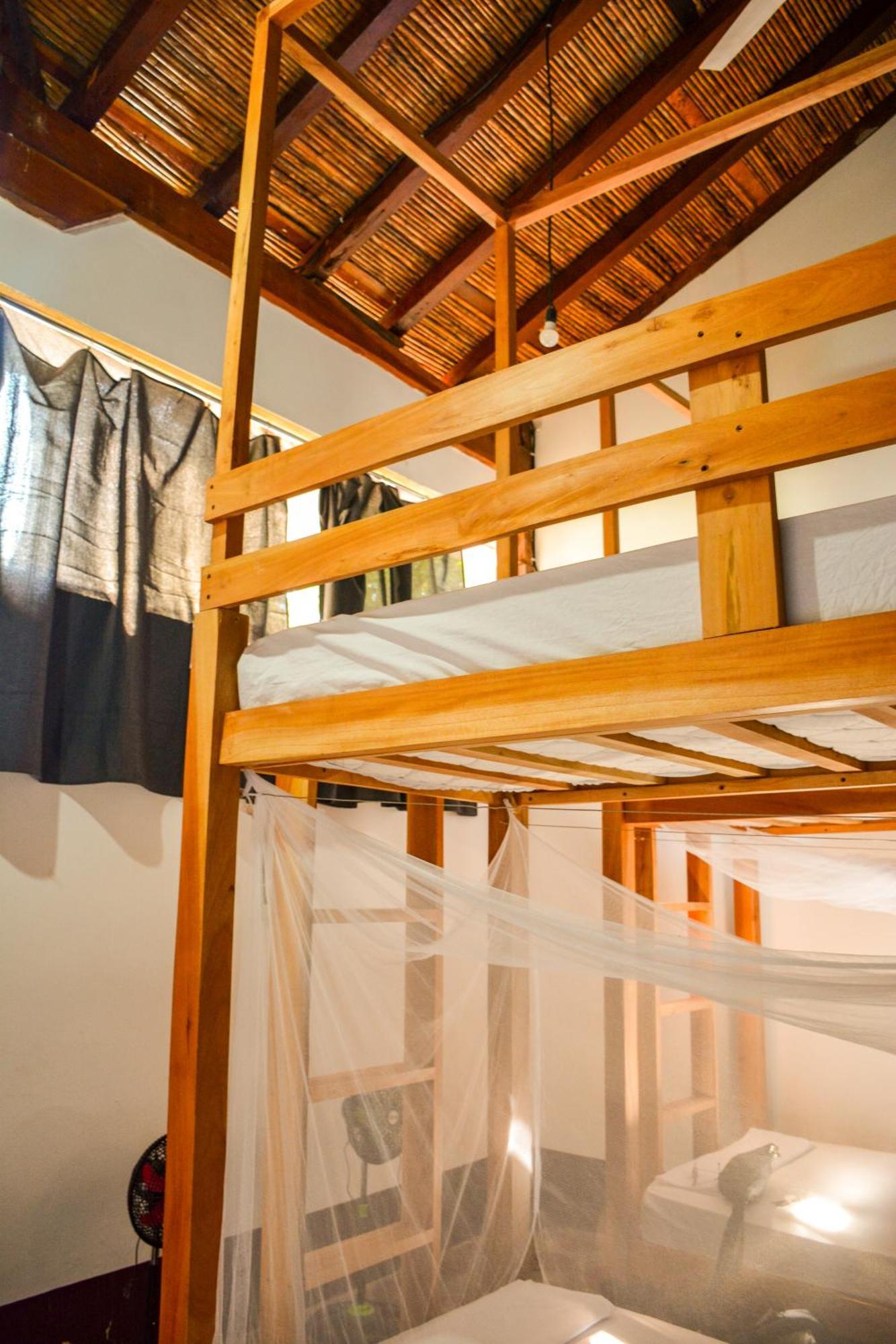 Casa Gallo Pinto Granada Dış mekan fotoğraf