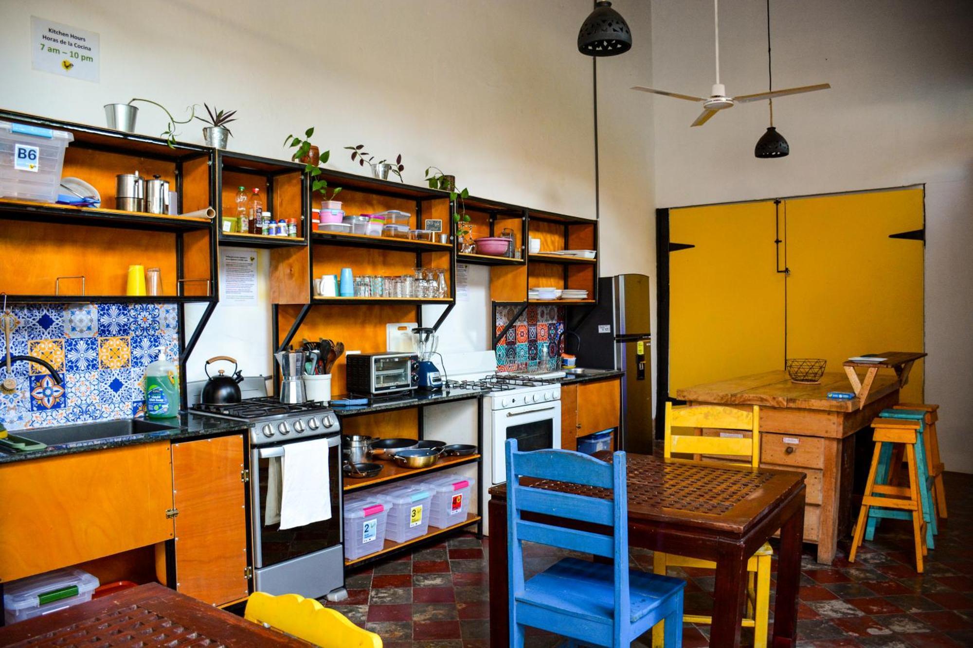 Casa Gallo Pinto Granada Dış mekan fotoğraf